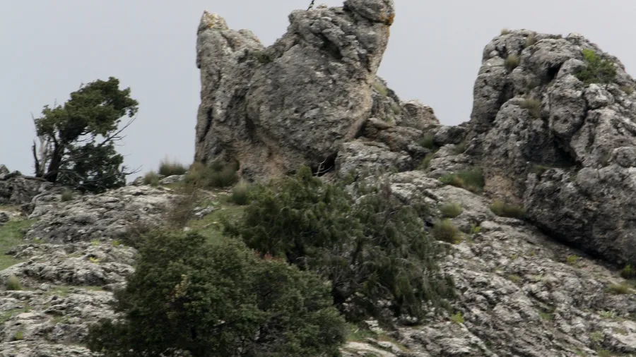 Imagen de Región: cmcnc9cmm0hg5zr5pvu5tbzx4