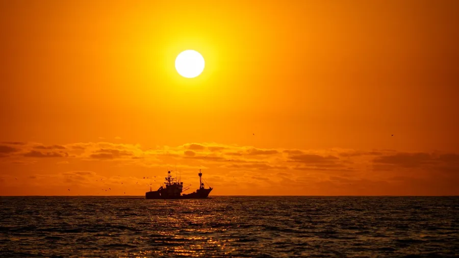 Sunrise over the Cantabrian Sea during the whale watching trip from Laredo