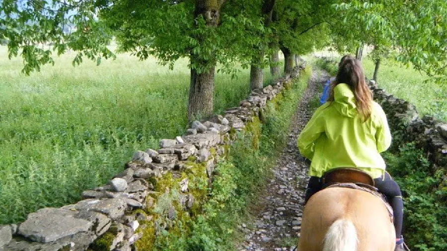 Ruta a caballo junto al río Ara en el Pirineo Aragonés
