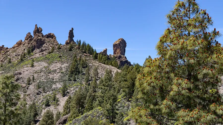 Las Palmas de Gran Canaria