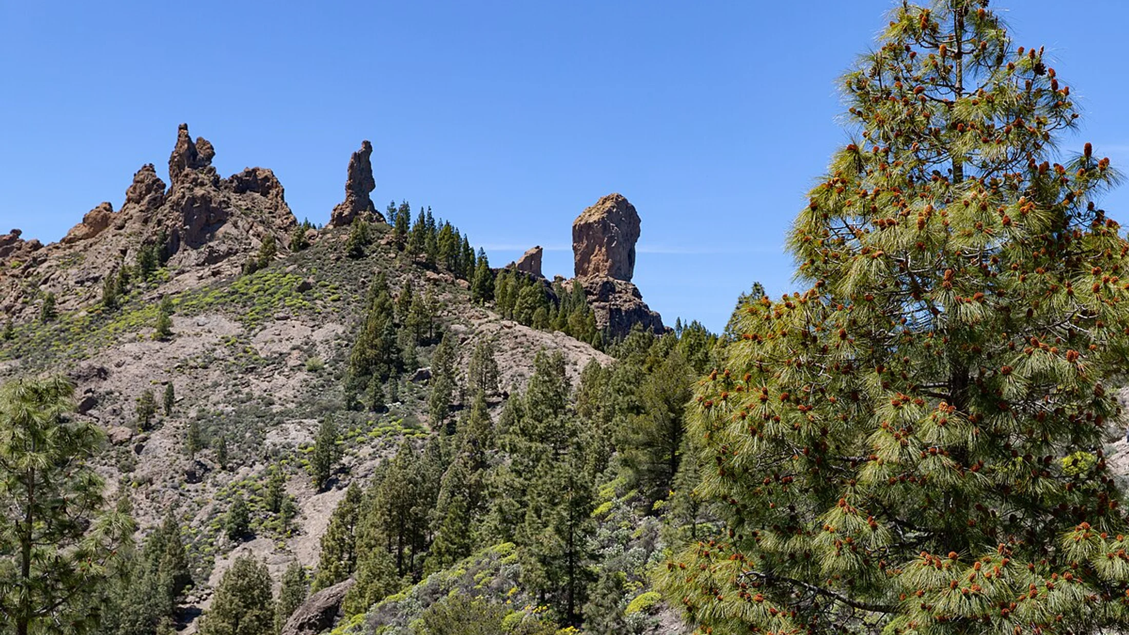 Las Palmas de Gran Canaria