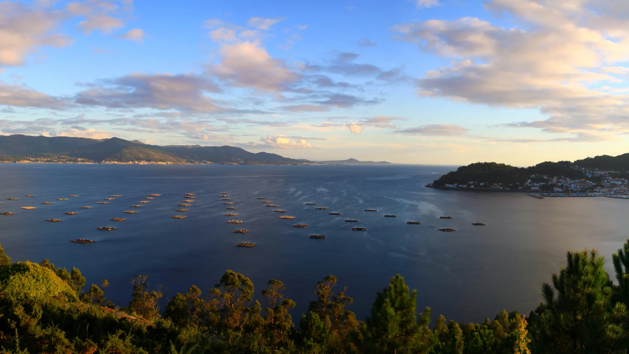 Imagen de Región: cmcncpvao0hw7zr5pc02hs07h