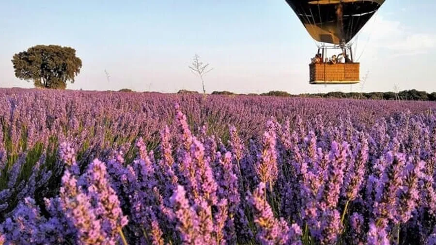 Vuelo en globo sobre los Campos de Lavanda de Brihuega