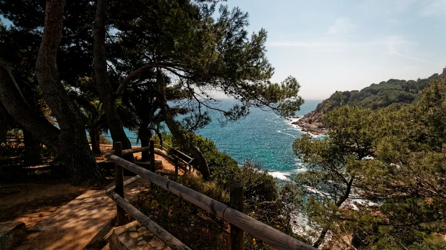 Vista panorámica de la playa de Lloret de Mar con árboles y el mar Mediterráneo