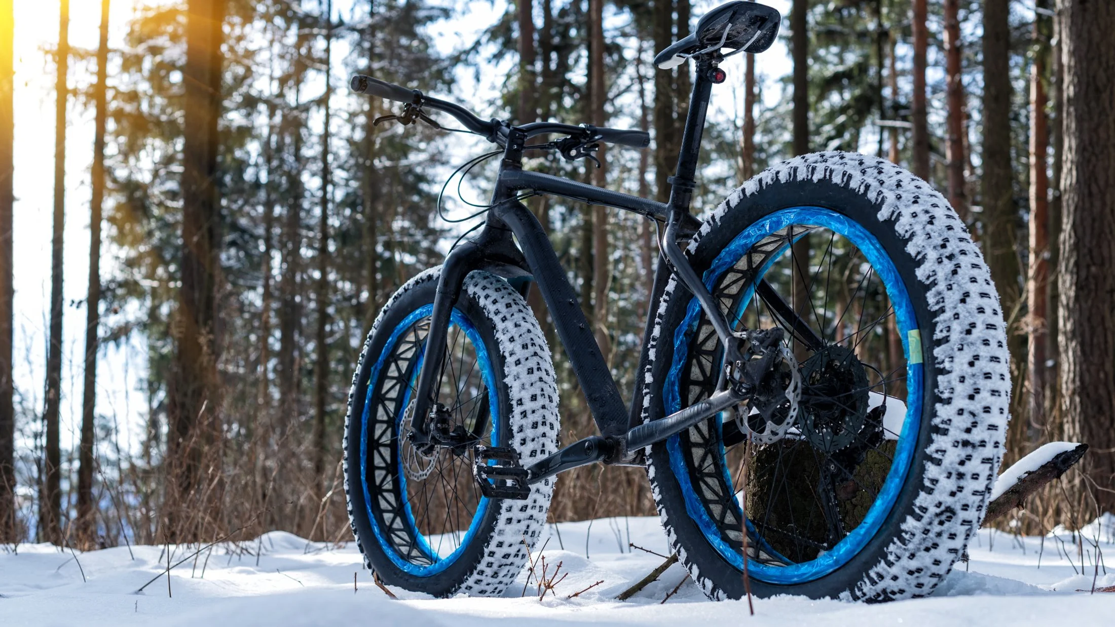 Fatbike