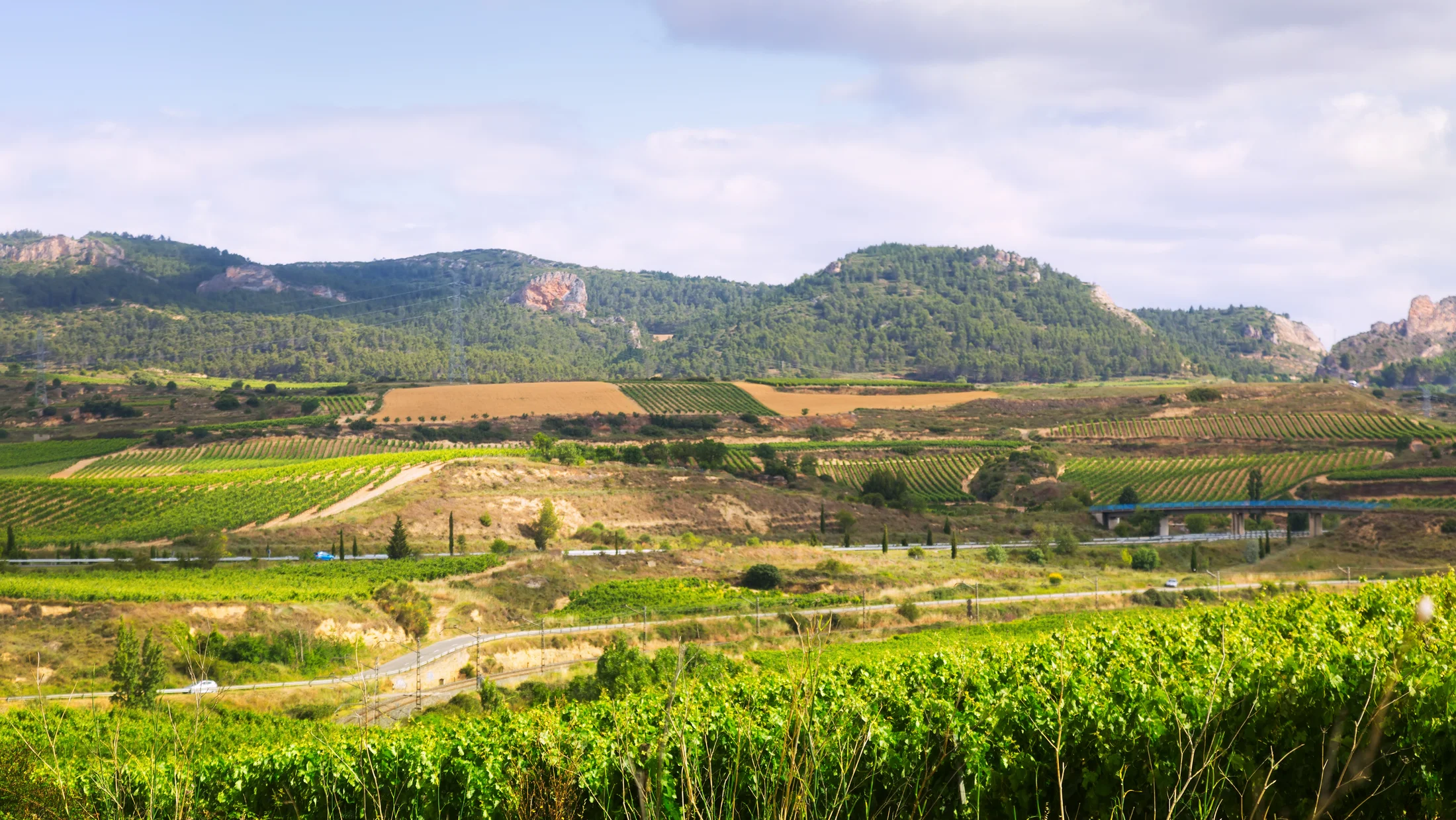 Imagen de Artículo de Blog: cmgz76w3v006h9i0u861kgwbc