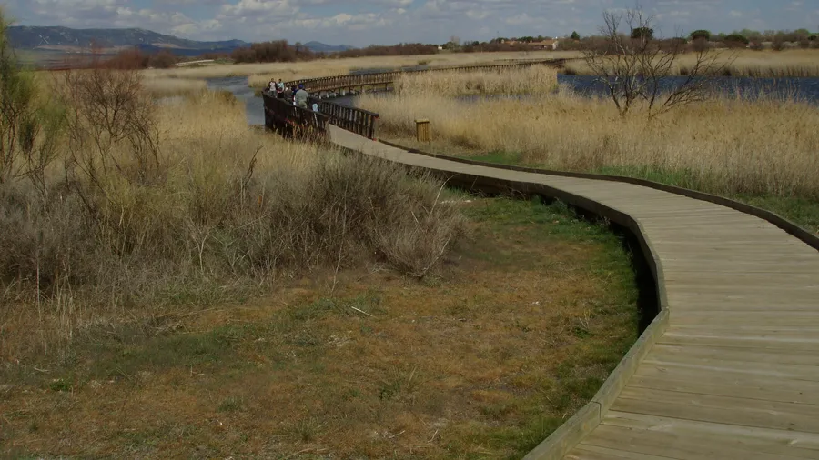 Parque Nacional de las Tablas de Daimiel