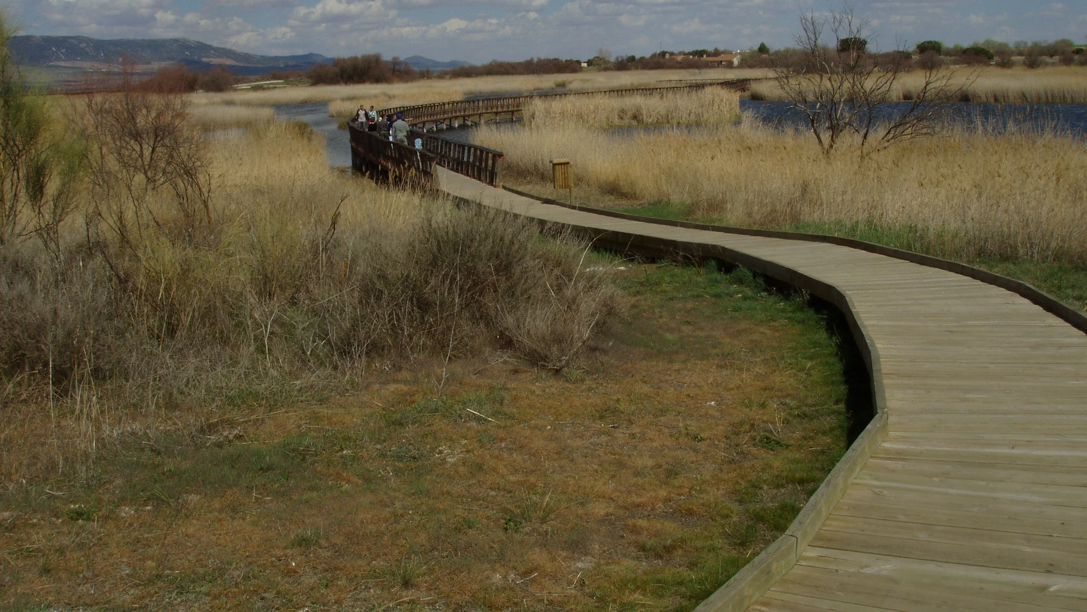 Pasarela de madera sobre las lagunas del Parque Nacional de las Tablas de Daimiel