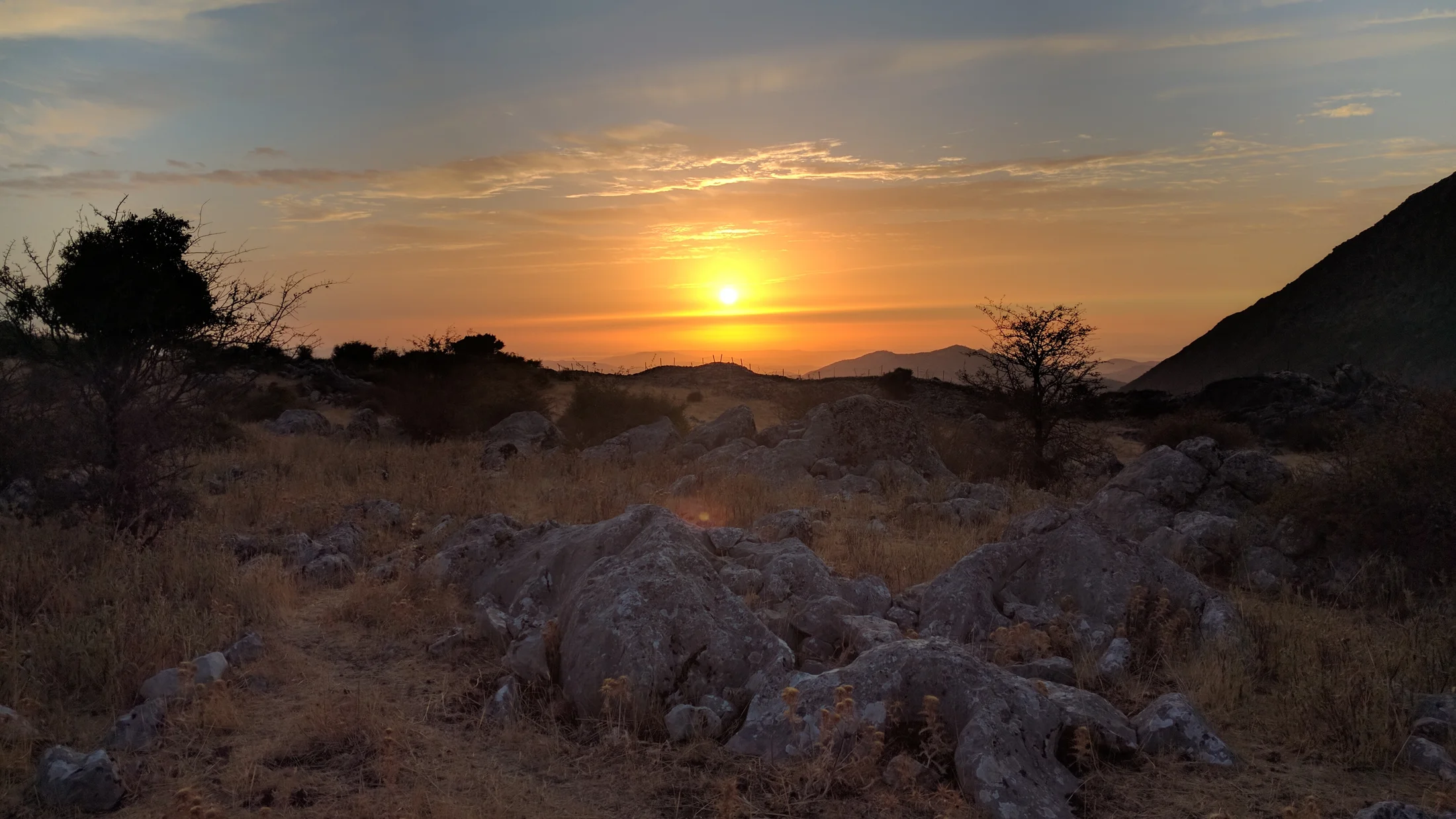 Imagen de Región: cmcj1wmtr000qphyj296ks6am