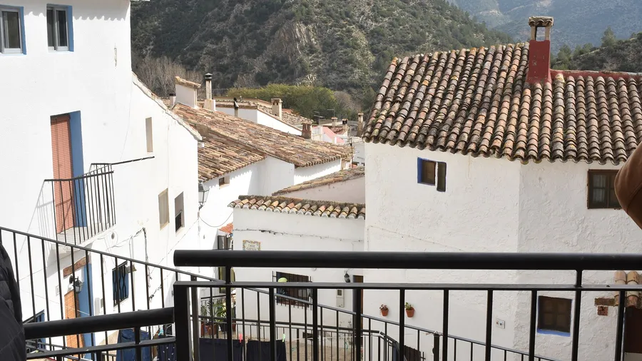 Caballo entre viñas de Requena y el cañón de Chulilla