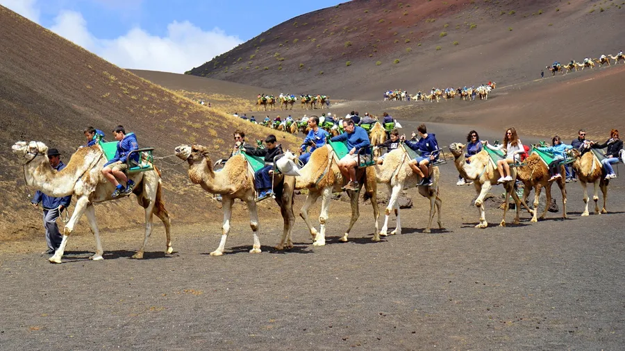 Viaje volcánico con paseo en camello en Timanfaya, Lanzarote