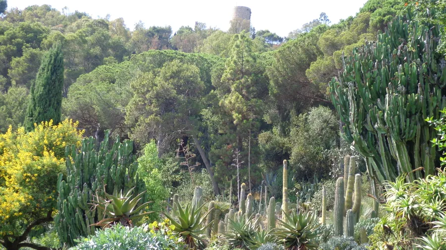 Imagen de Artículo de Blog: 8 botanical gardens in Spain worth visiting (and not Madrid's)