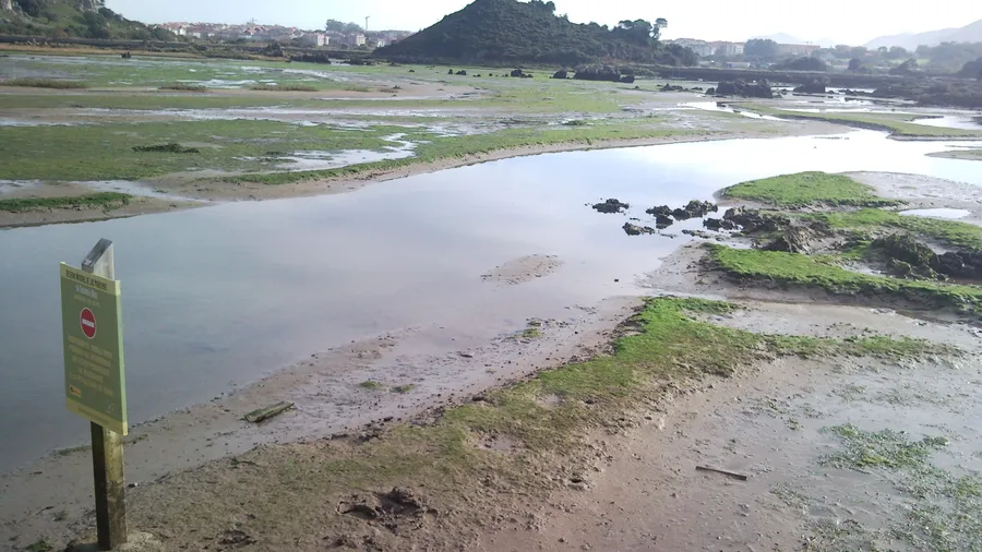 Imagen de Región: cmcjdd6q0006dik8p9tkw4jnq