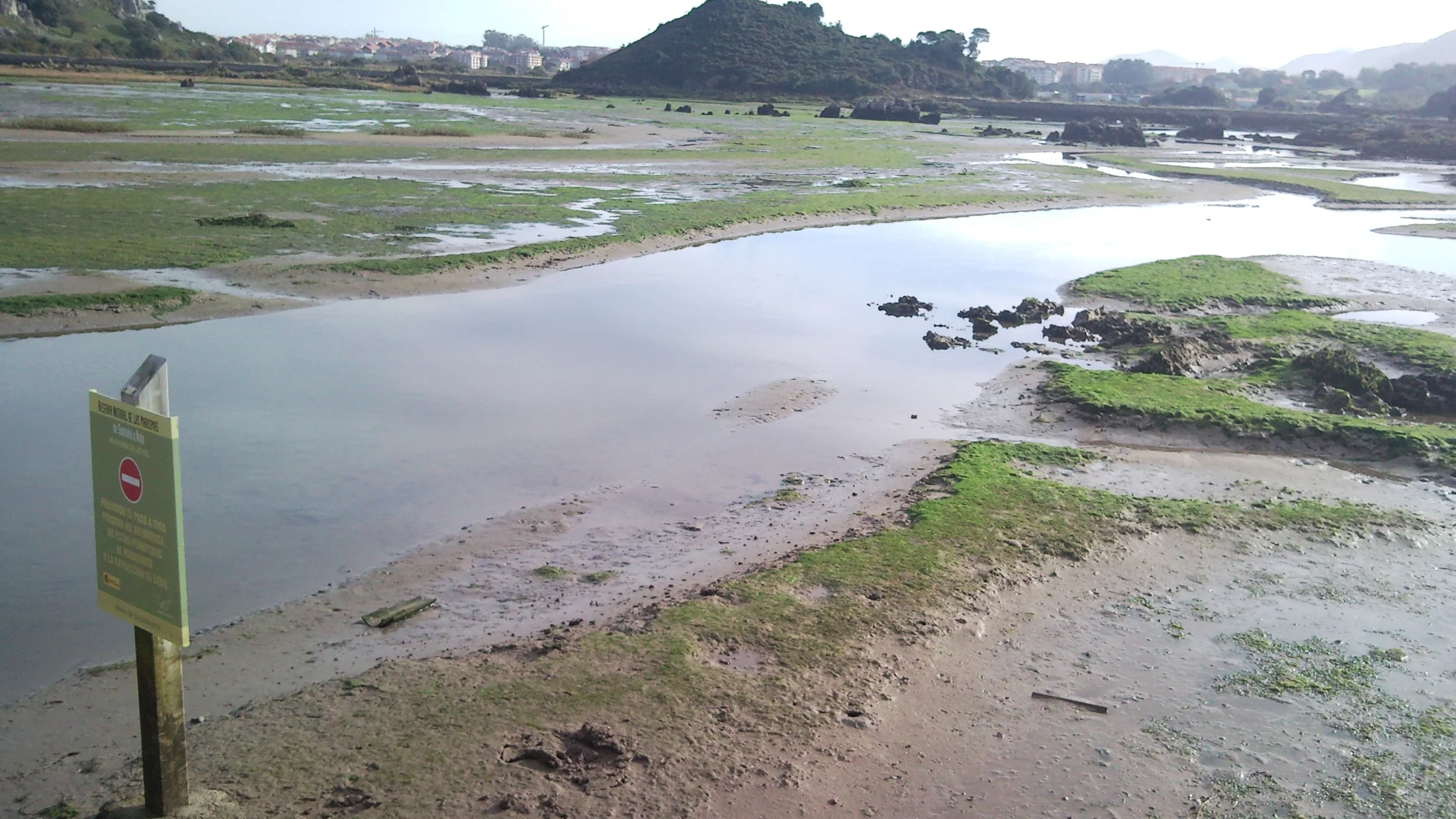 Imagen de Región: cmcjdd6q0006dik8p9tkw4jnq