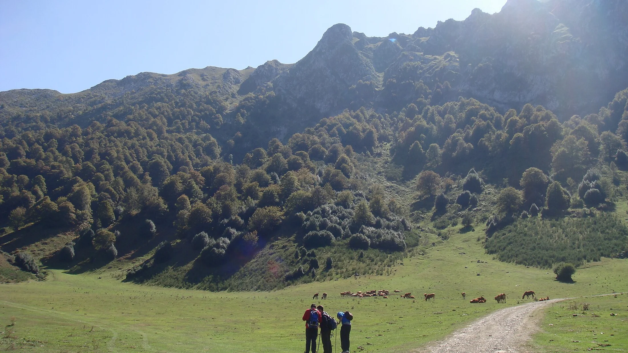 Majadas y hayedos rodeando la vega de Brañagallones