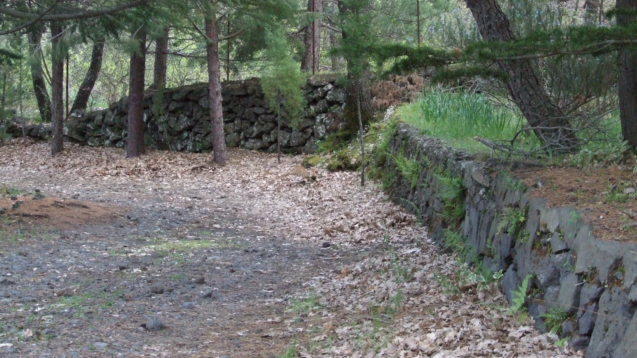 Imagen de Región: cmnxoqbzl05pdhx370anajiyv