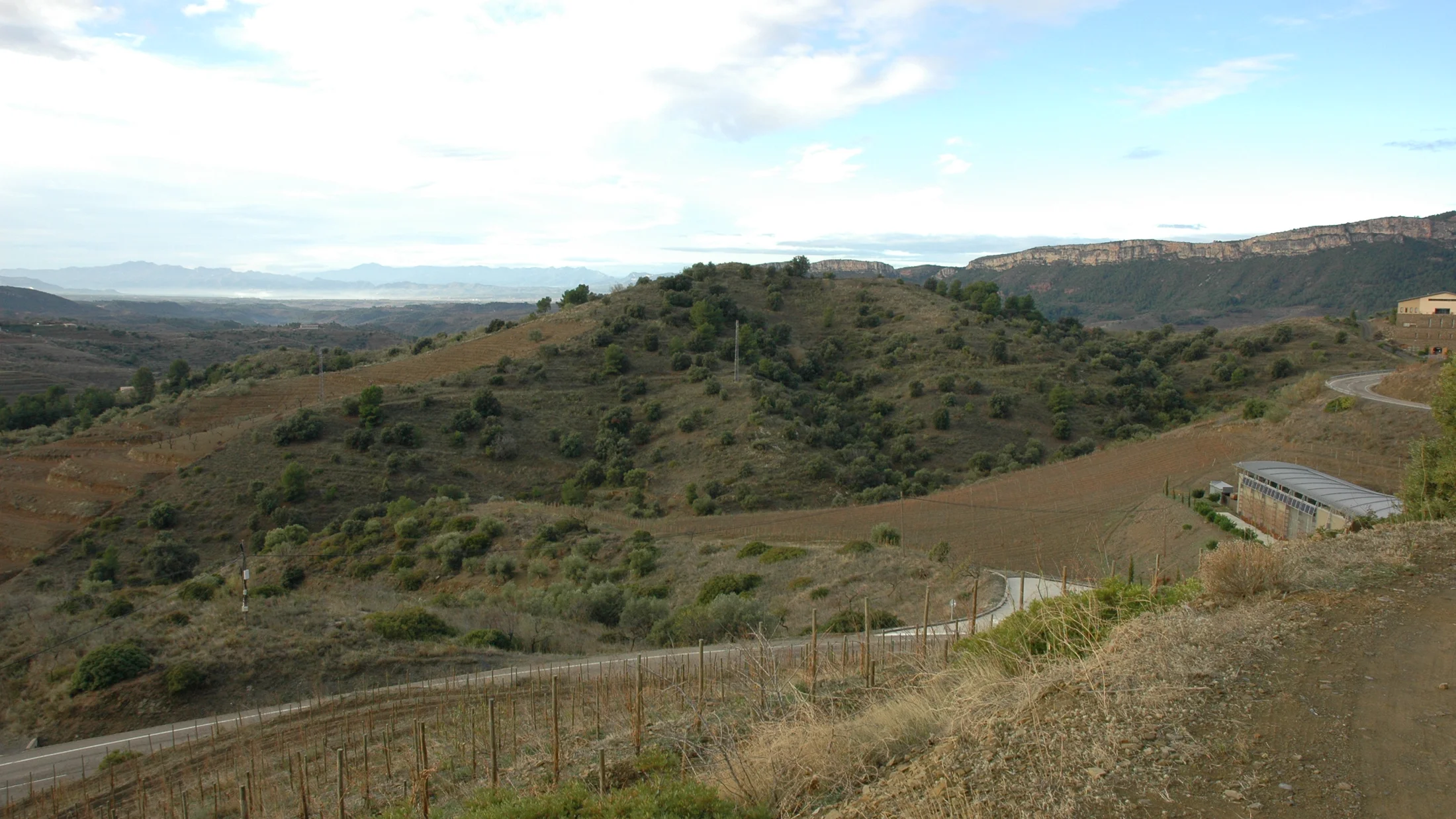 Imagen de Región: cmnxqcmst0088hd9svz7tyh4e