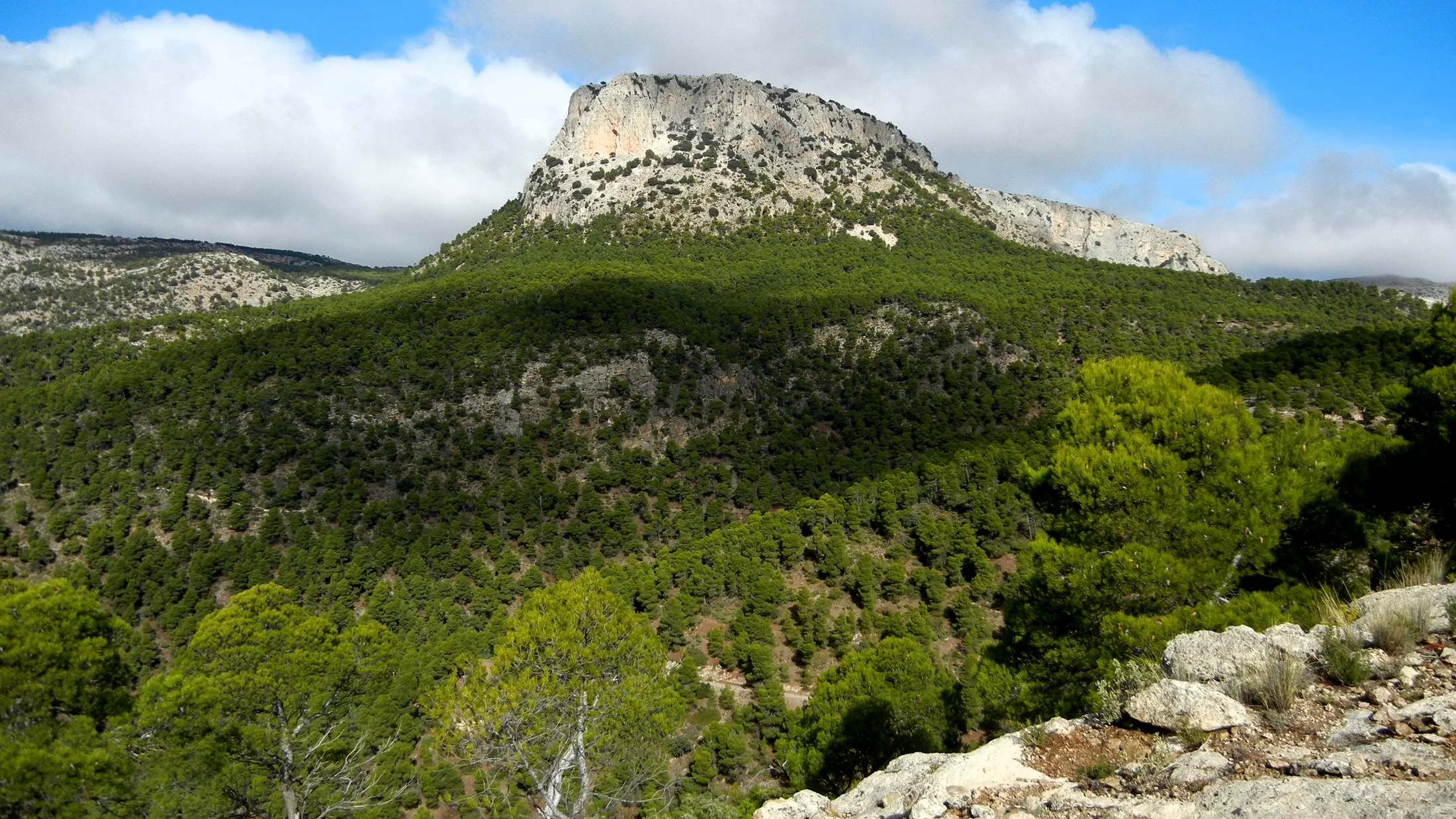 Imagen de Región: cmcnc9dib0hghzr5p9ip2tefc