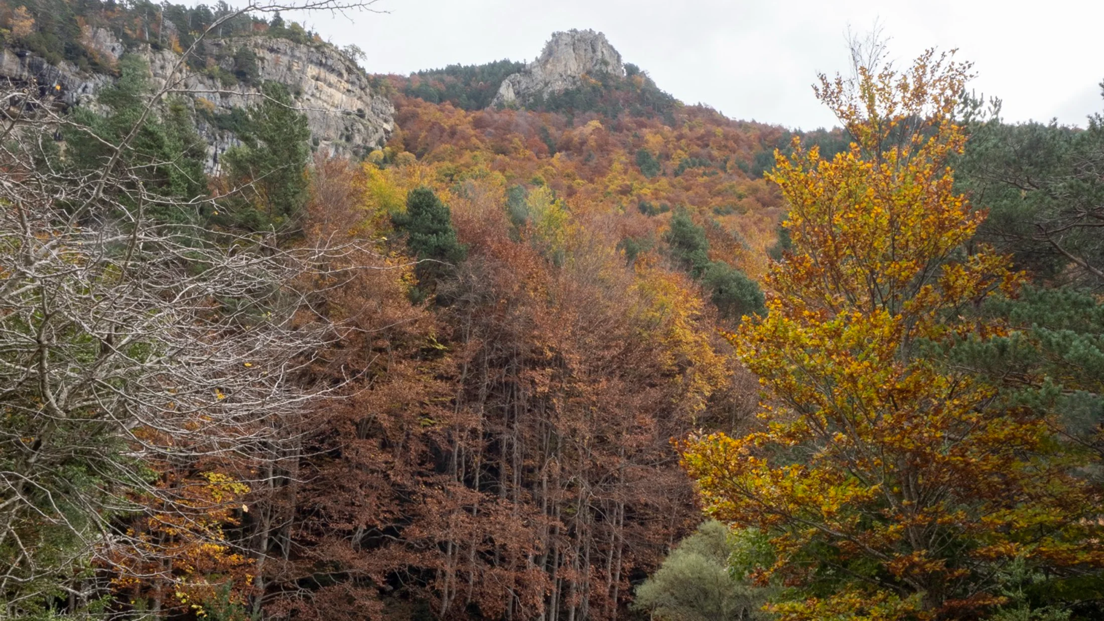 Imagen de Artículo de Blog: cmgz8rcvv008i9i0u15ttpd1s