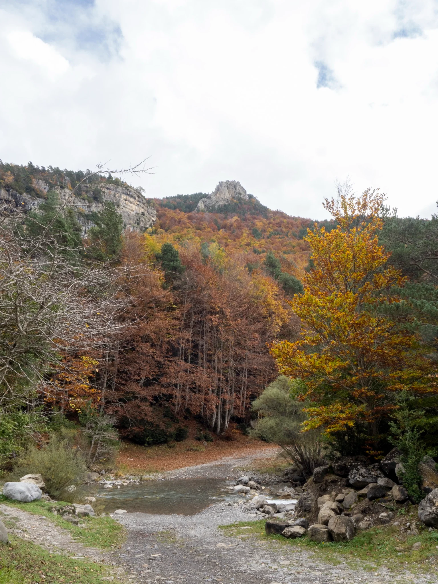 Vista de Albarracín, pueblo medieval de Teruel con arquitectura tradicional
