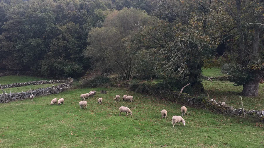 Imagen de Región: cmcnc9b560hflzr5pz2cdcgt4