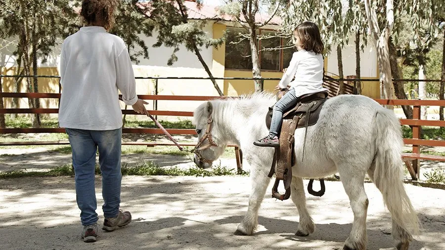 Imagen de Artículo de Blog: Granjas para niños Madrid: descubre 5 visitas cerca de la ciudad con precios, mapas y consejos.