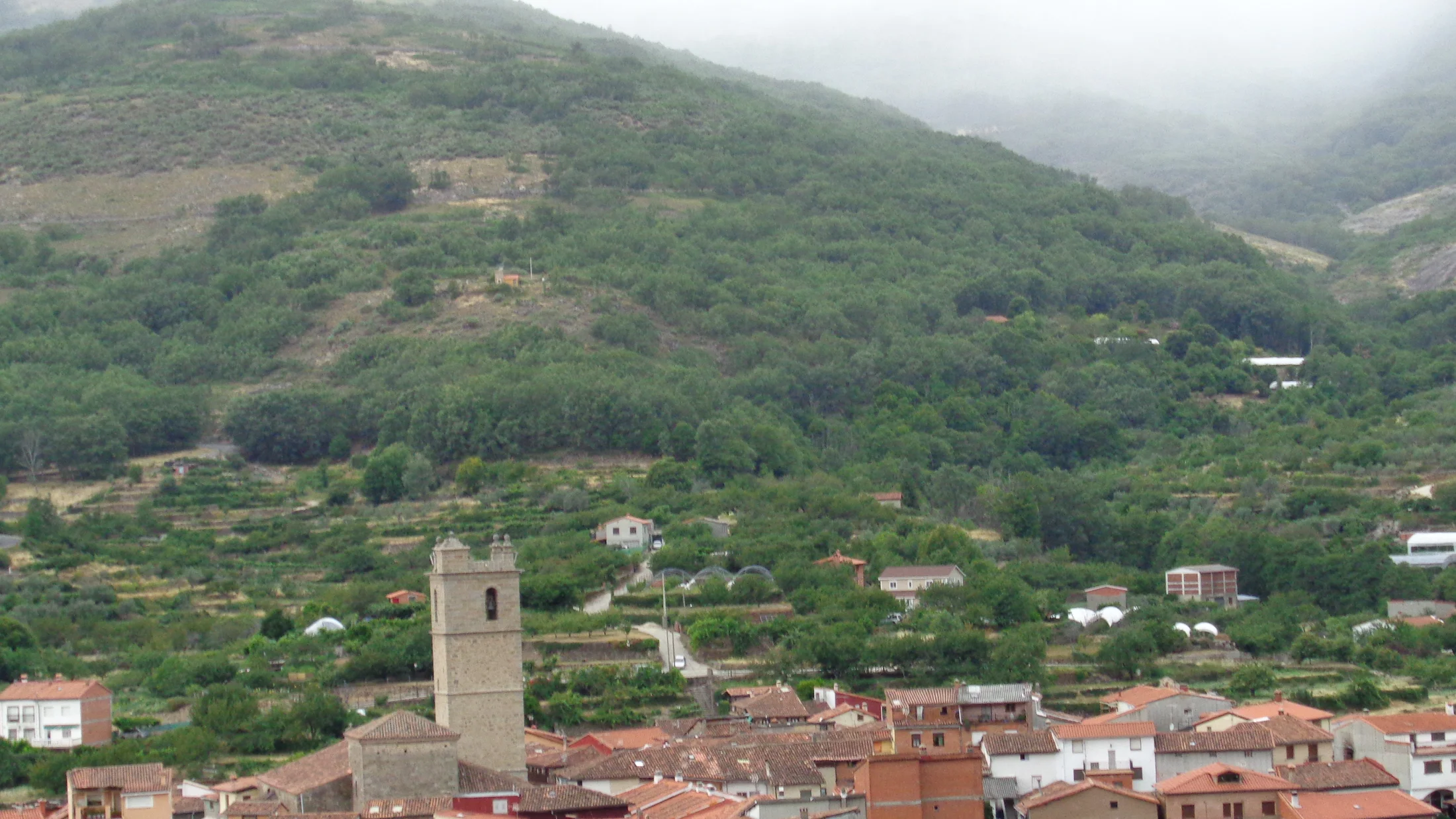 Imagen de Artículo de Blog: cmo2zsfvj000n1bq8pprdpif1