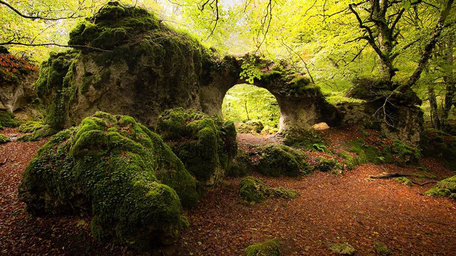 Guided Hiking in the Countryside and Natural Parks of Álava