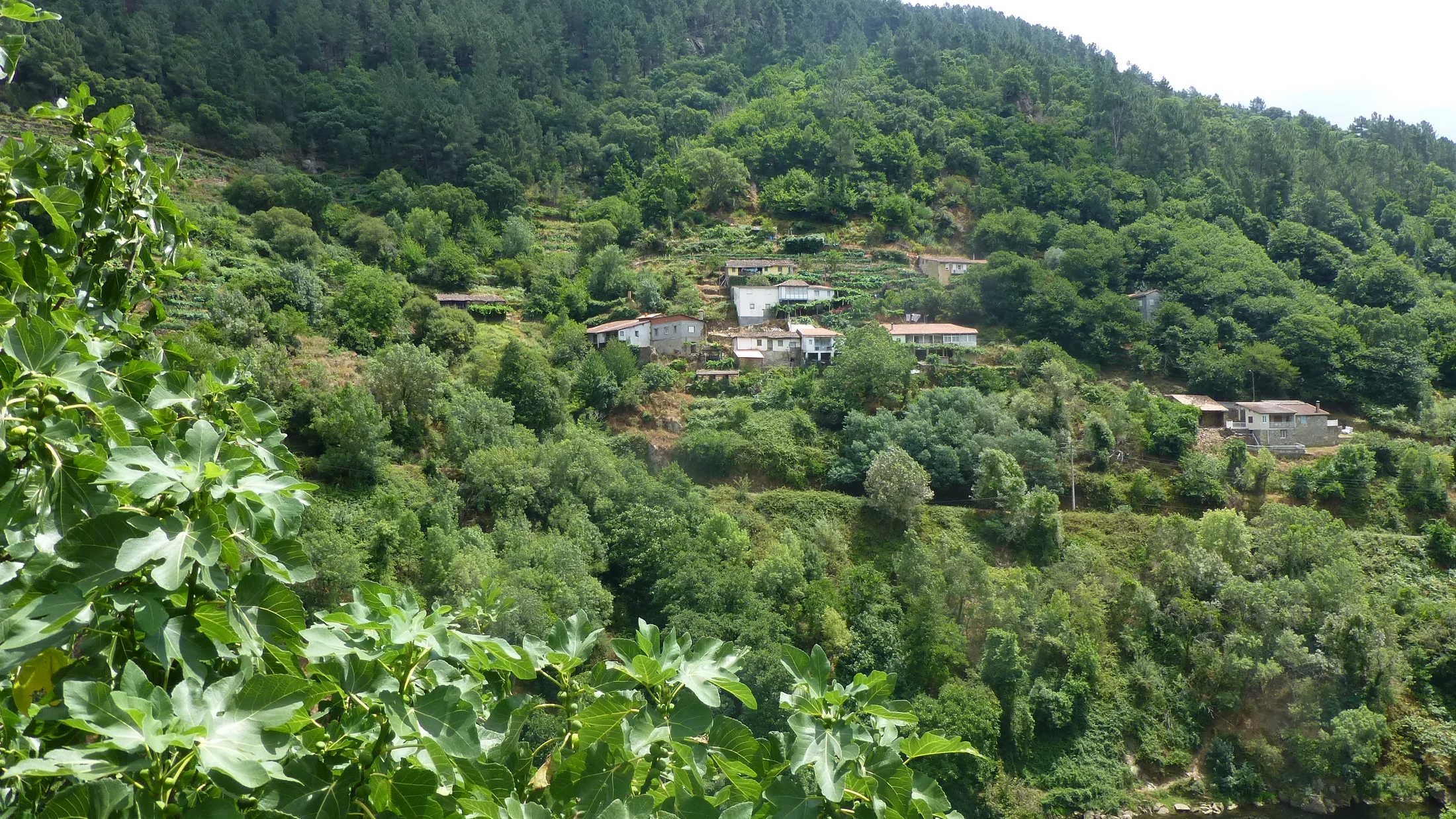 Imagen de Región: cmcnc9b560hflzr5pz2cdcgt4