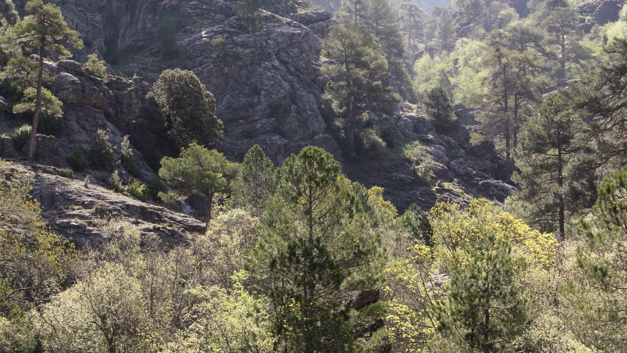 File:Parque natural de las Sierras de Cazorla, Segura y Las Villas 41.jpg