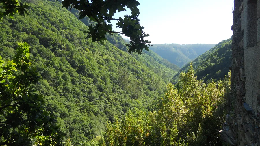 Parque Natural Fragas do Eume