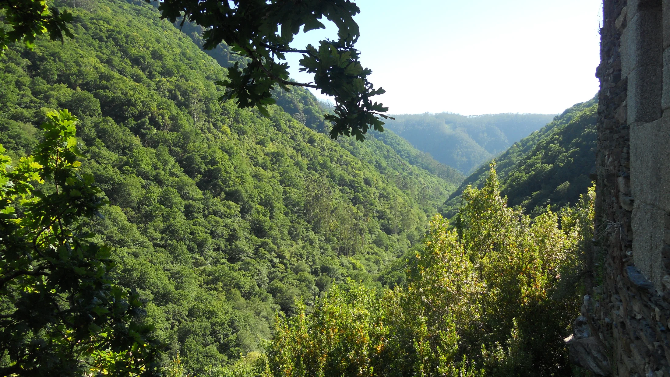 Imagen de Región: cmcjdd4ll005lik8ppa4jbjjp