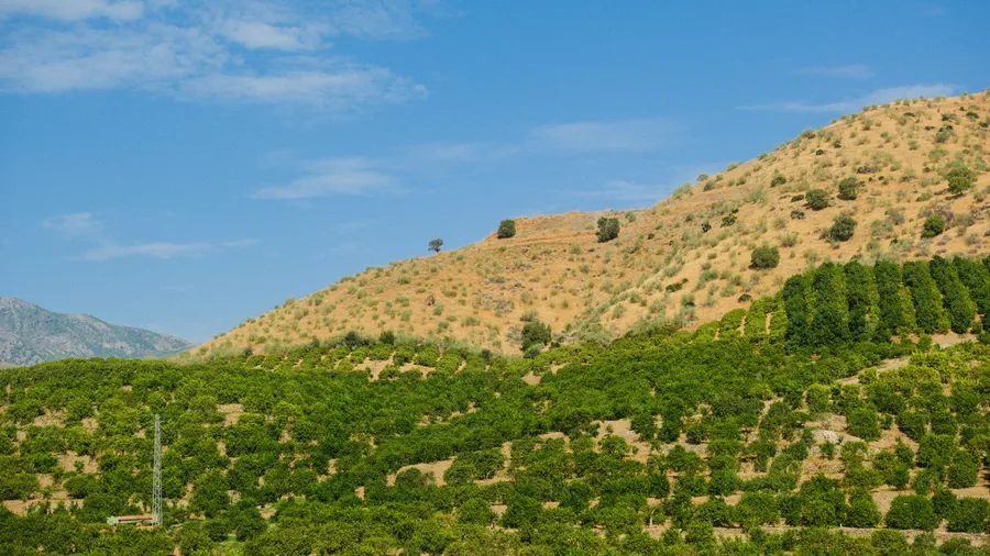 Imagen de Artículo de Blog: Naturaleza cerca de Sevilla: 10 escapadas verdes a menos de 1 hora