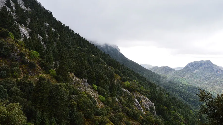 Grazalema · Senderismo en la Sierra y Pueblos Blancos