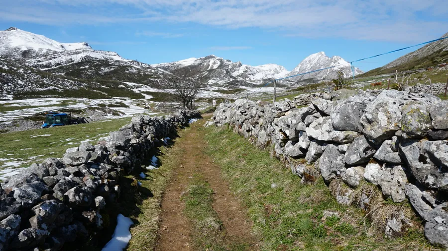 Imagen de Región: cmcjdd40c005dik8p73skurnw