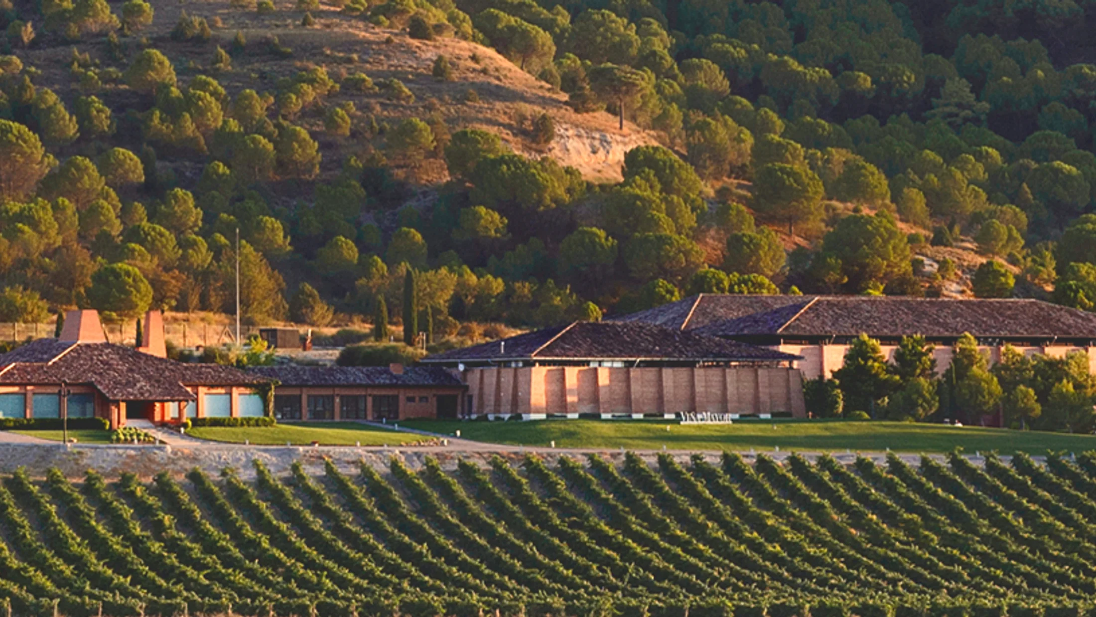 File:02 vinamayor corregida enfoque en bodega.jpg