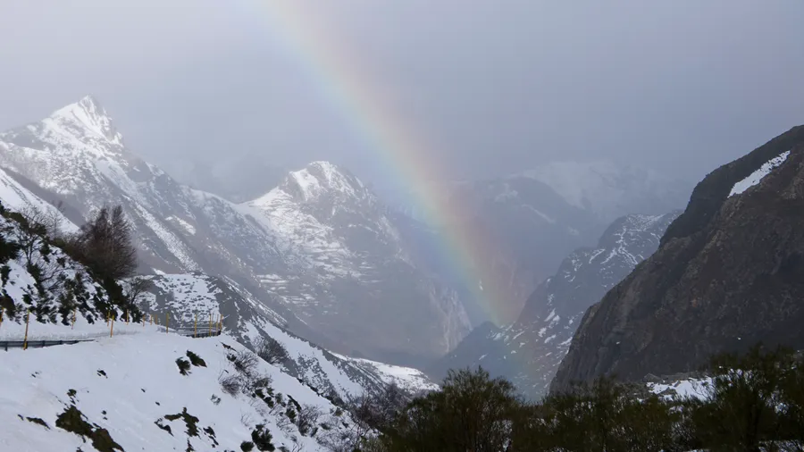 Imagen de Región: cmcjdd40c005dik8p73skurnw