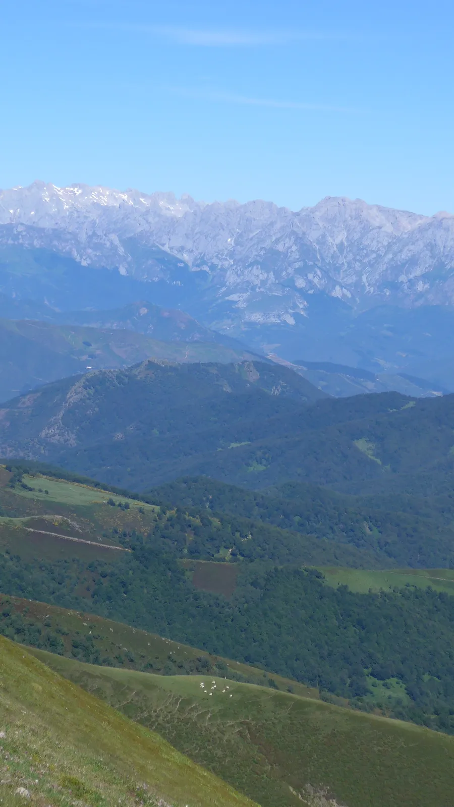 Macizo Central de Picos de Europa