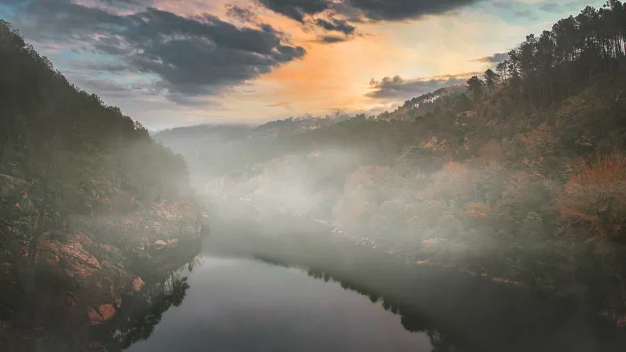 Imagen de Región: cmcnc9b560hflzr5pz2cdcgt4