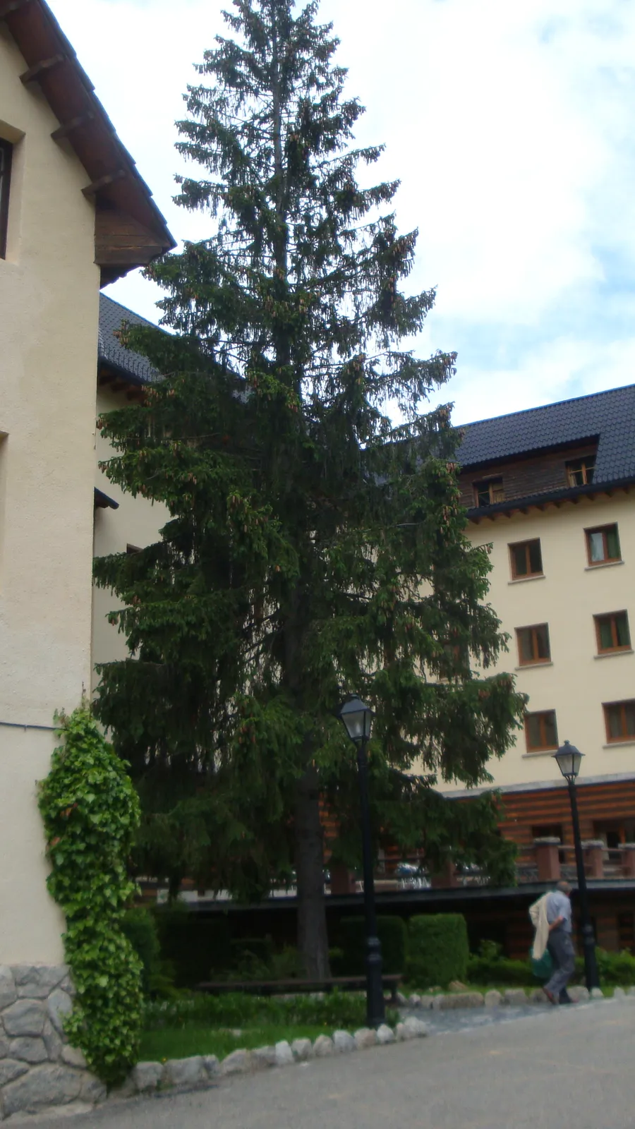 Therme von Caldes de Boí