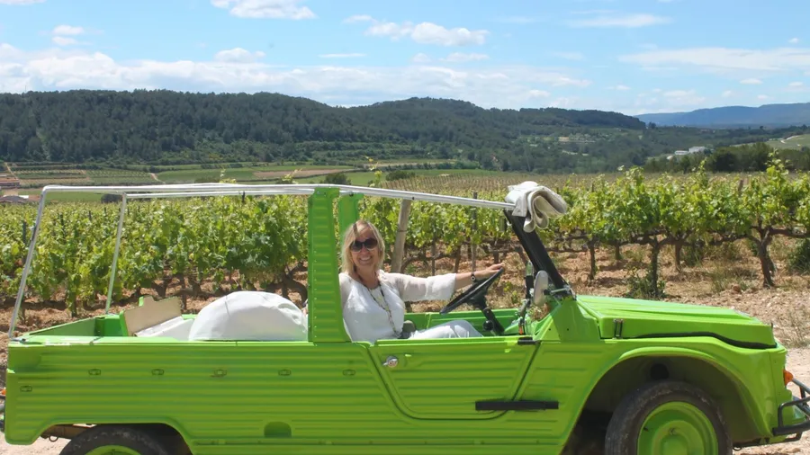 Imagen de Actividad: cmdymqiqd0nml2xzhu68gu6z3