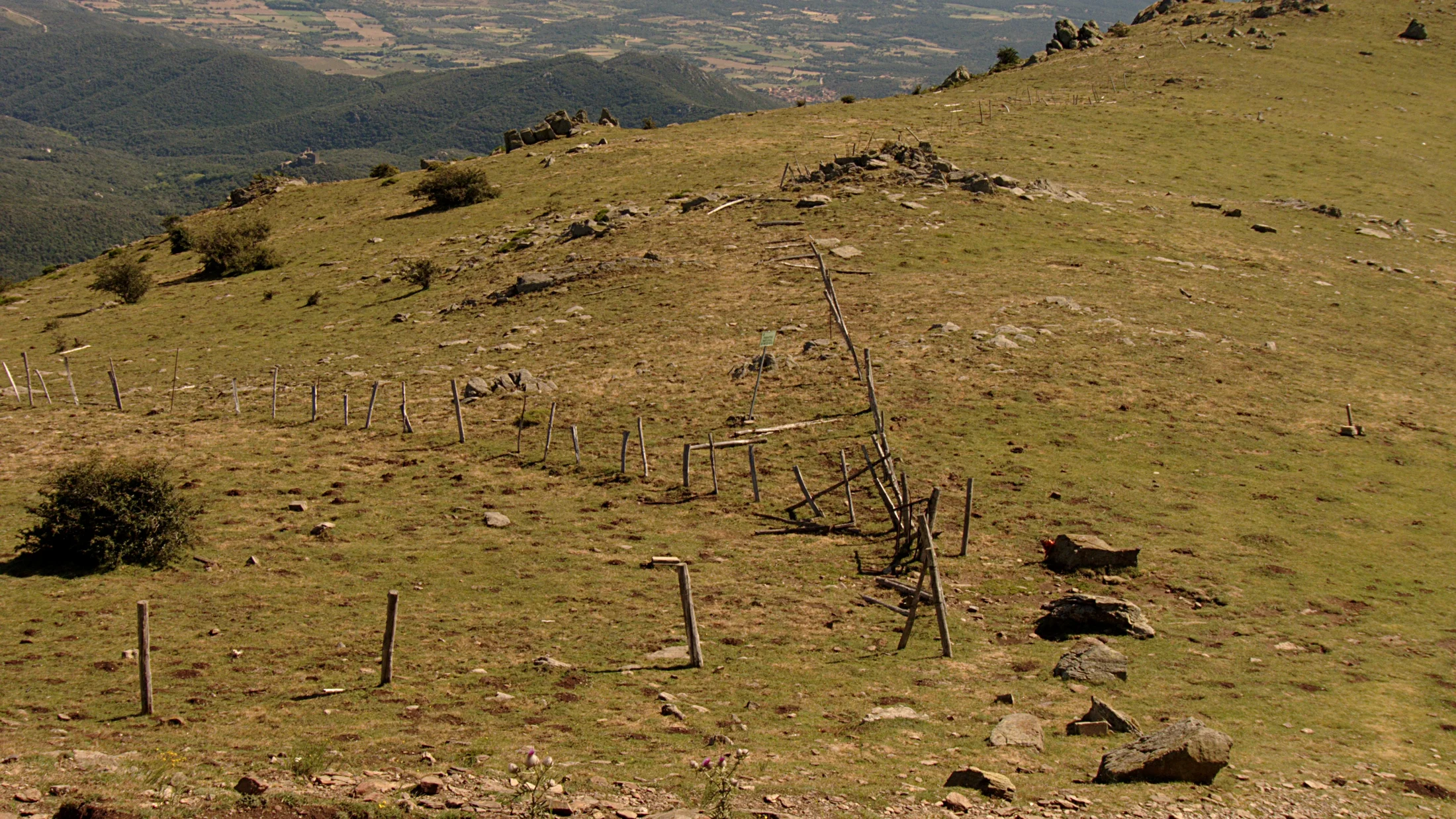 Pyrenean ridge at dawn