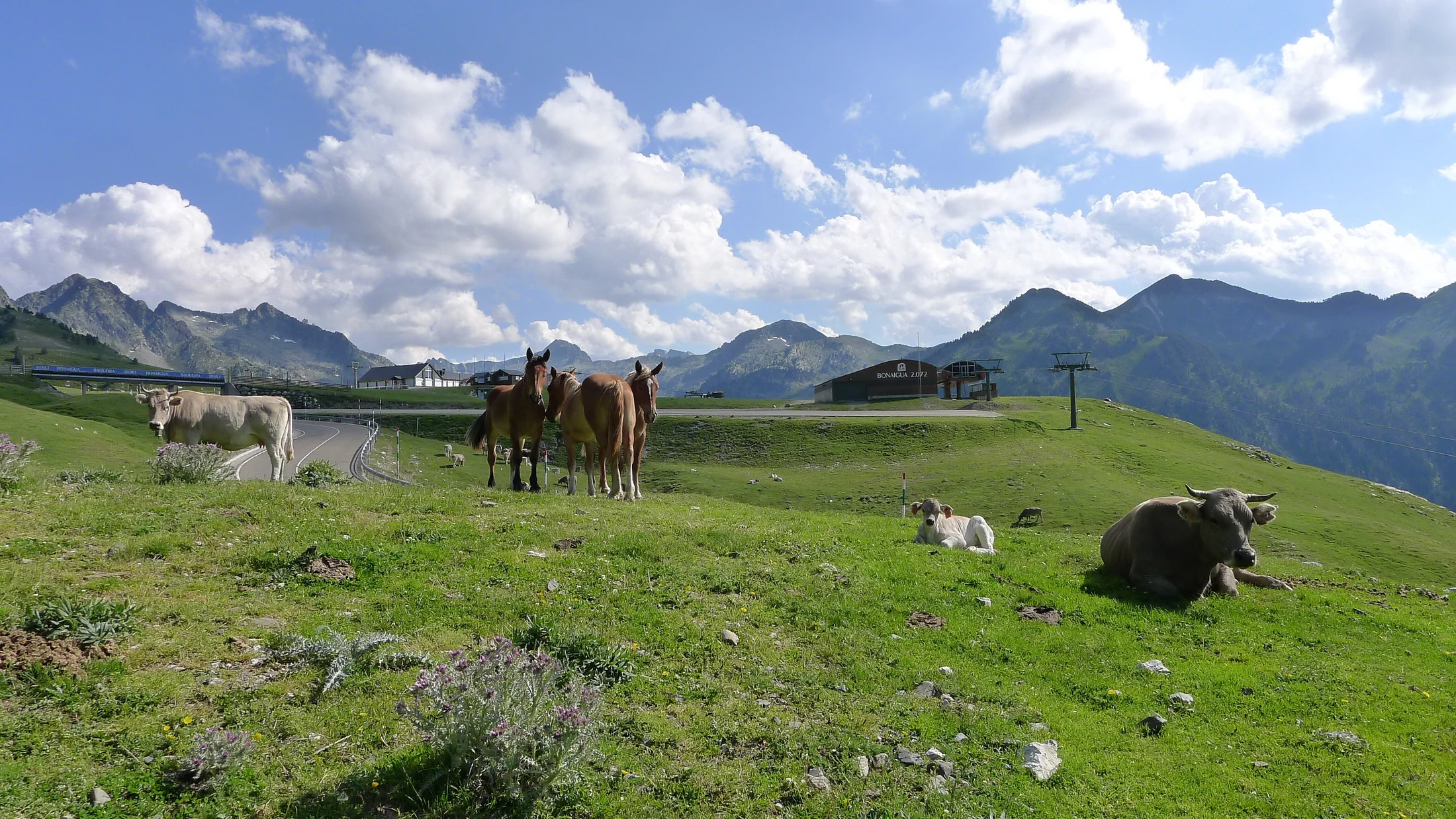 File:El Port de la Bonaigua   panoramio.jpg