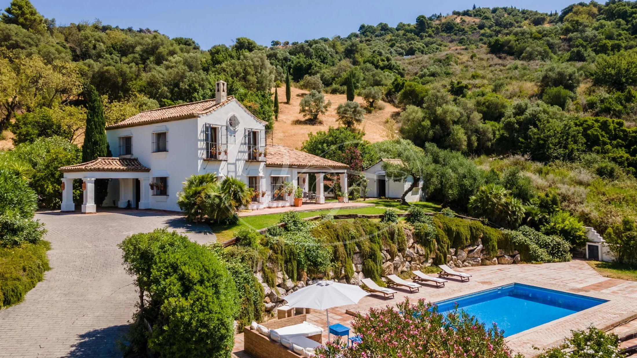 Imagen de Artículo de Blog: cmhxuf532000occ87lf013ogt