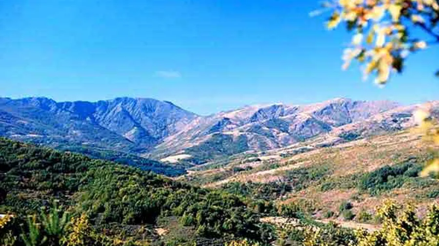 Sierra de Ayllón
