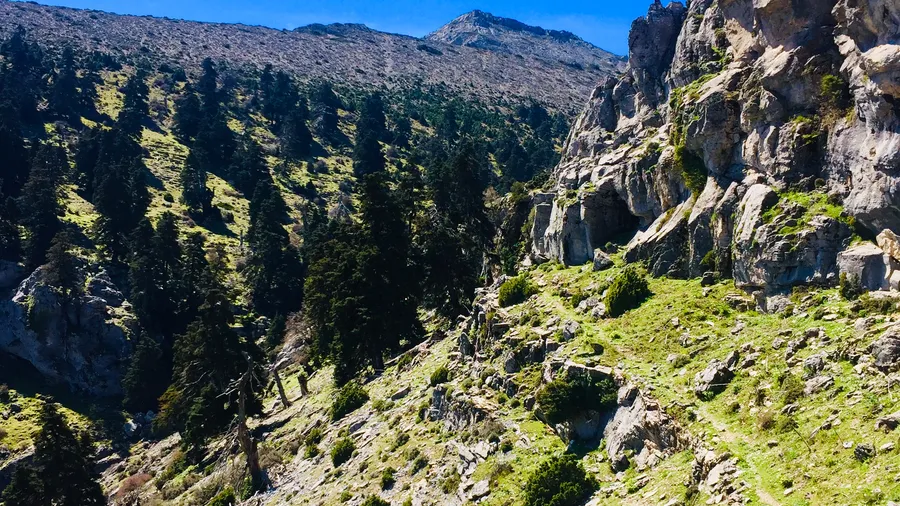 Sierra de las Nieves Natural Park