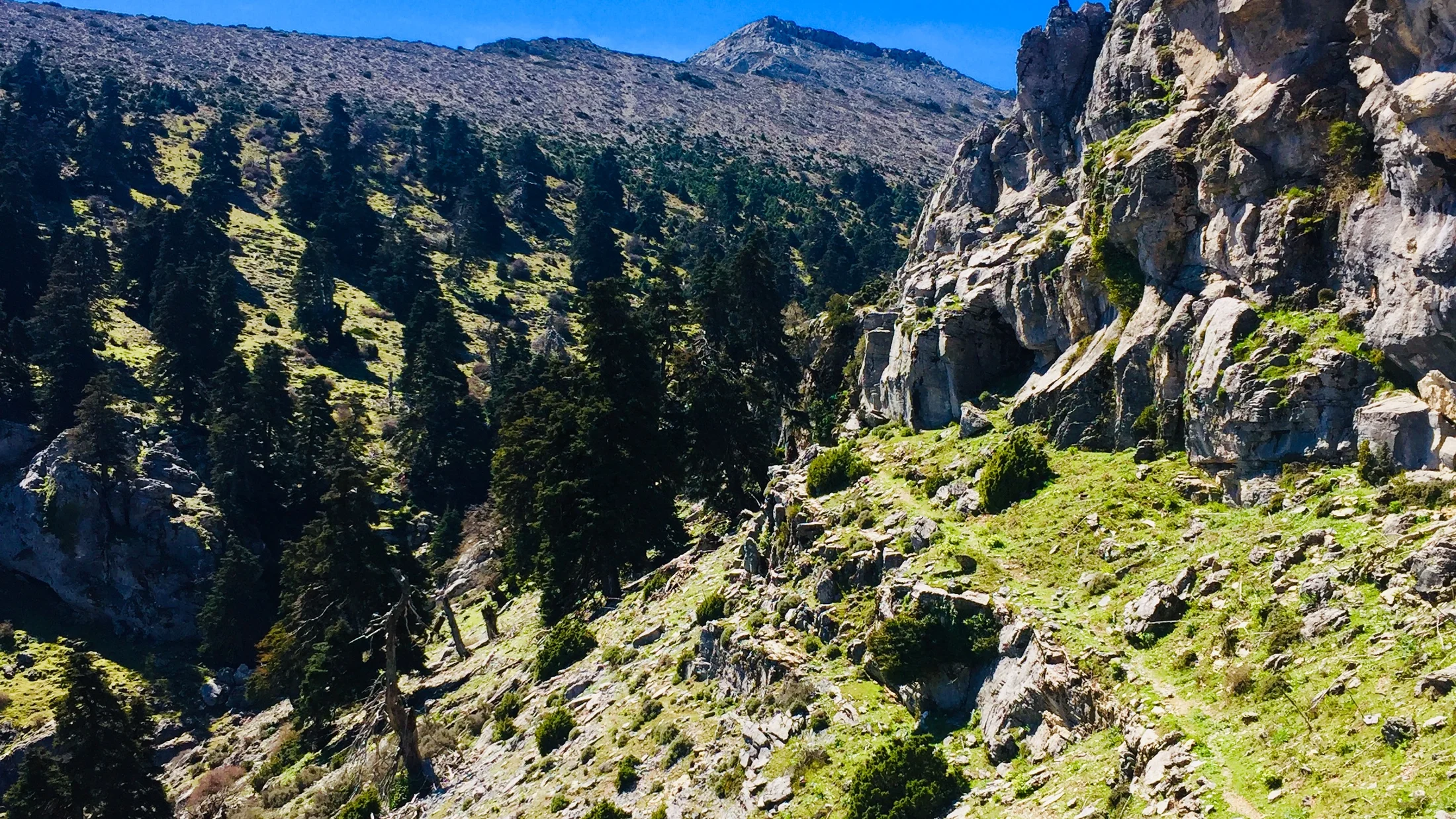 Imagen de Región: cmcjdd06y003xik8p12ini635