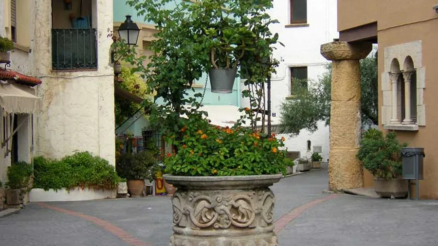 Roda de Bará