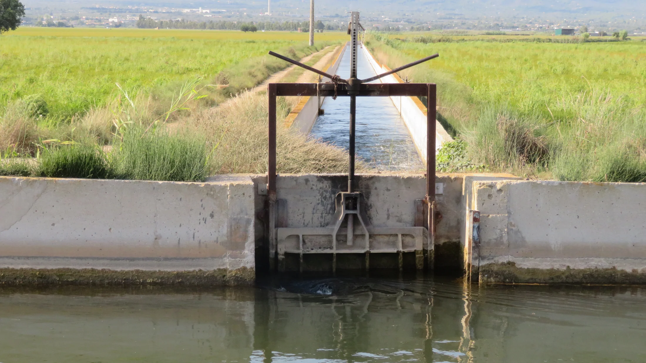 Imagen de Región: cmcja7bf4002iphyjjt0exht4