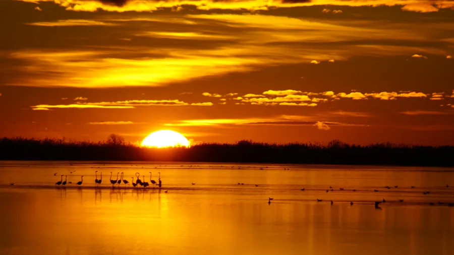 Ebro Delta Natural Park
